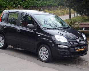 Fiat Fiat New Panda Automatik Kamera erst 39.996 km! To Gebrauchtwagen