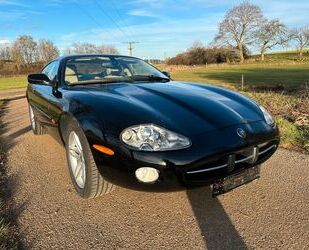 Jaguar Jaguar XK8 4.2 Coupe Facelift Gebrauchtwagen