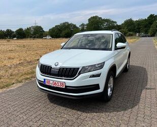 Skoda Skoda Kodiaq Ambition 4x4 *Automatik* Gebrauchtwagen