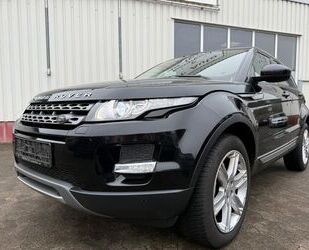 Land Rover Land Rover Evoque Pure 4X4/Navi/Kamera/Xenon/LEDER Gebrauchtwagen