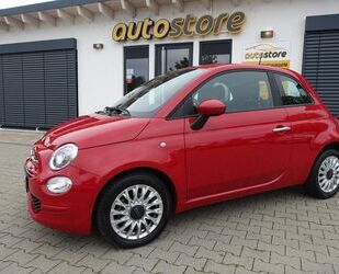 Fiat Fiat 500 1.0 Hybrid Lounge *Klima, Einparkhilfe h. Gebrauchtwagen