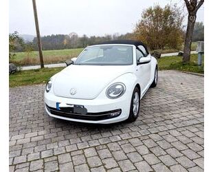 VW Volkswagen Beetle 1.2 TSI BMT ALLSTAR Cabriolet AL Gebrauchtwagen