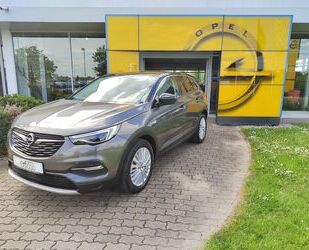 Opel Opel Grandland X Innovation AHZV abnehmb. Gebrauchtwagen