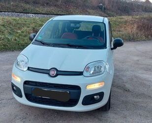 Fiat Fiat Panda Easy Klima Gebrauchtwagen