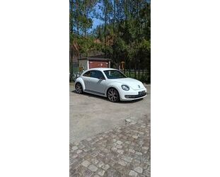 VW Volkswagen Beetle 1.4 TSI Sport Gebrauchtwagen