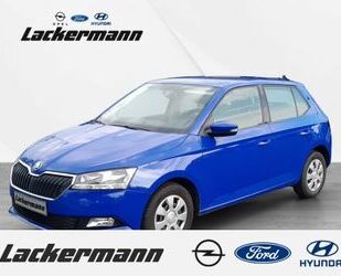 Skoda Skoda Fabia Active Plus 1.0 Navi Klima Allwetter Gebrauchtwagen