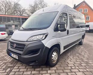 Fiat Ducato Gebrauchtwagen