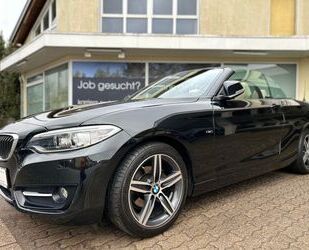 BMW BMW 2 Cabrio 218 i Bi-Xenon Navi Leder Alu Pdc Eur Gebrauchtwagen