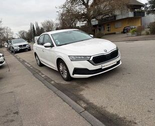 Skoda Skoda Octavia Lim. Ambition Gebrauchtwagen