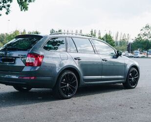 Skoda Skoda Octavia 2.0 TDI DSG - TÜV, gepflegt Gebrauchtwagen