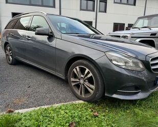 Mercedes-Benz Mercedes-Benz E 300 E -Klasse T-Modell E 300 BlueT Gebrauchtwagen