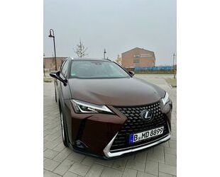 Lexus Lexus UX 250h - Gebrauchtwagen