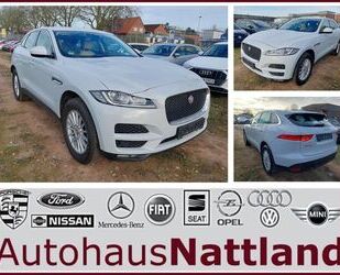 Jaguar Jaguar F-Pace Prestige AWD Autom. RFK Leder Xenon Gebrauchtwagen