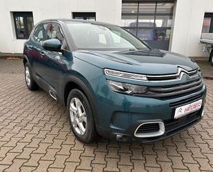 Citroen Citroën C5 Aircross 1.5 Blue-HDI 130 EAT 8 Live Gebrauchtwagen