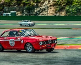 Alfa Romeo Alfa Romeo GTAm 2000 GT Veloce H-Zulaasung Gebrauchtwagen