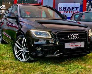 Audi Audi SQ5 3.0 TDI quattro R-KAMERA PANO LEDER AHK S Gebrauchtwagen