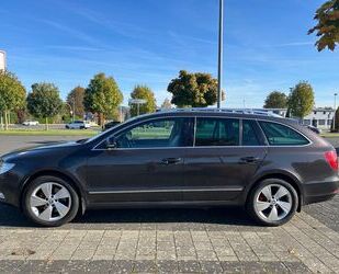 Skoda Skoda Superb 2.0 TDI DSG Leder Massage Sitze Gebrauchtwagen