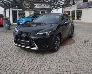 Lexus Lexus UX 250h Style Edition Gebrauchtwagen