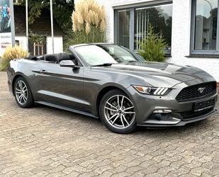 Ford Ford Mustang 2,3 EcoBoost Xenon Kamera Gebrauchtwagen