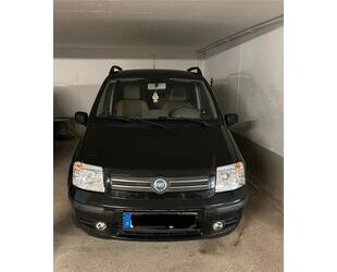 Fiat Fiat Panda 1.2 Gebrauchtwagen