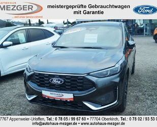 Ford Ford Kuga Hybrid ST-Line X Gebrauchtwagen