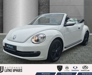 VW Volkswagen Beetle Cabrio 1,2 TSI Temp PDC Berganfa Gebrauchtwagen