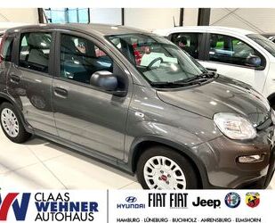 Fiat Fiat Panda Base 1.0 Mild Hybrid EU6d MY22 GSE Benz Gebrauchtwagen