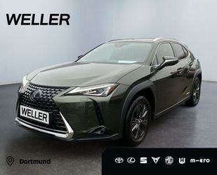 Lexus Lexus UX 250h Amazing Edition *LED*CarPlay*Kamera* Gebrauchtwagen