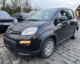 Fiat Fiat Panda 1.0 GSE Hybrid Navigation / Apple Carpl Gebrauchtwagen