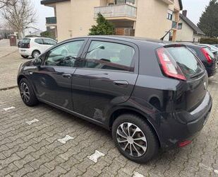 Fiat Fiat Punto 1.4 8V Start&Stopp Active Active Gebrauchtwagen