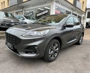 Ford Ford Kuga Plug-In Hybrid ST-Line AHK|Panorama|Kame Gebrauchtwagen