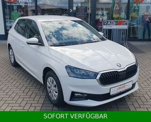 Skoda Skoda Fabia 1.0 Selection *TEMPO*SHZ*VirtualCo*PDC Gebrauchtwagen