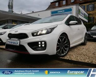 Kia Kia Ceed GT-Track 1.6 T-GDi El. Panodach Navi Xeno Gebrauchtwagen