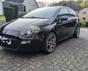 Fiat Fiat Punto 1.2 8V POP POP Gebrauchtwagen