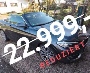 BMW BMW 228i Cabrio Luxury Line 19Zoll UNFALLFREI Gebrauchtwagen