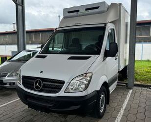 Mercedes-Benz Mercedes-Benz Sprinter II Pritsche *Kühltransporte Gebrauchtwagen