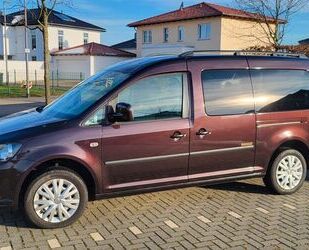 VW Volkswagen Caddy MAXI Roncalli 7-Sitze 1.Hd. 1.2 Gebrauchtwagen