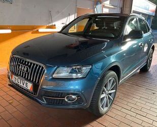 Audi Audi Q5 2.0 TDI quattro S-Line *AHK*SHZ*NAV*PAN*A Gebrauchtwagen