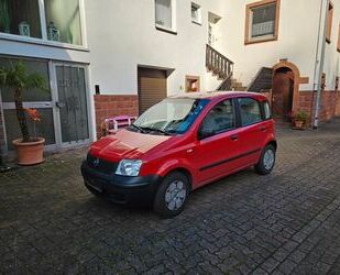 Fiat Fiat Panda 1.1 - wenig Kilometer Gebrauchtwagen