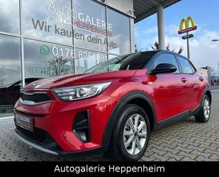 Kia Kia Stonic Edition7/KLIMA/SHZ/B-Lenkrad/TEMPOMAT/P Gebrauchtwagen