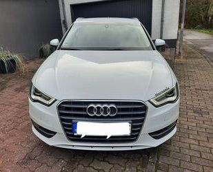 Audi Audi A3 1.6 TDI (DPF) 77kW Ambition Sportback Amb. Gebrauchtwagen