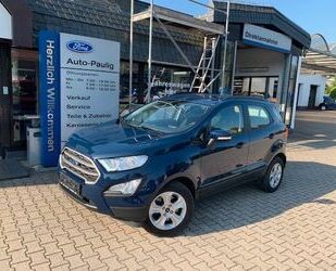 Ford Ford EcoSport Winter Paket Park-Pilot-System Gebrauchtwagen