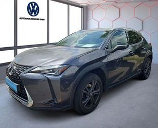 Lexus Lexus UX 250h Style Gebrauchtwagen