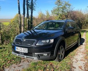 Skoda Skoda Octavia 2.0 TDI DSG 4x4 Scout Combi Scout Gebrauchtwagen