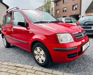 Fiat Fiat Panda 1.2 8V Dynamic Gebrauchtwagen