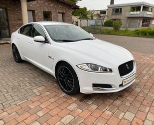 Jaguar Jaguar XF 2.2 Diesel+Leder+Navi+BI-Xenon+Automatik Gebrauchtwagen