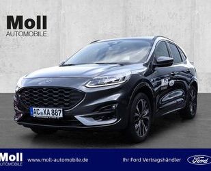 Ford Ford Kuga ST-Line X 2.0 4x4 AHK FAP Techno Stylin Gebrauchtwagen