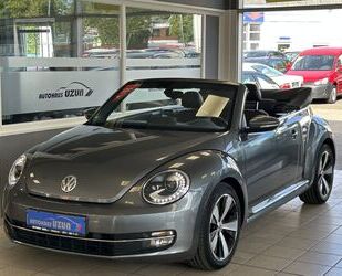 VW Volkswagen Beetle Cabriolet Cup 1. Hand PDC Leder Gebrauchtwagen