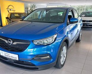 Opel Opel Grandland (X) Sitz&Lenkradheizung 17Zoll Lu u Gebrauchtwagen