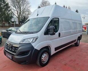 Opel Opel Movano C Kasten GKa L3H3 3,5t Edition Gebrauchtwagen